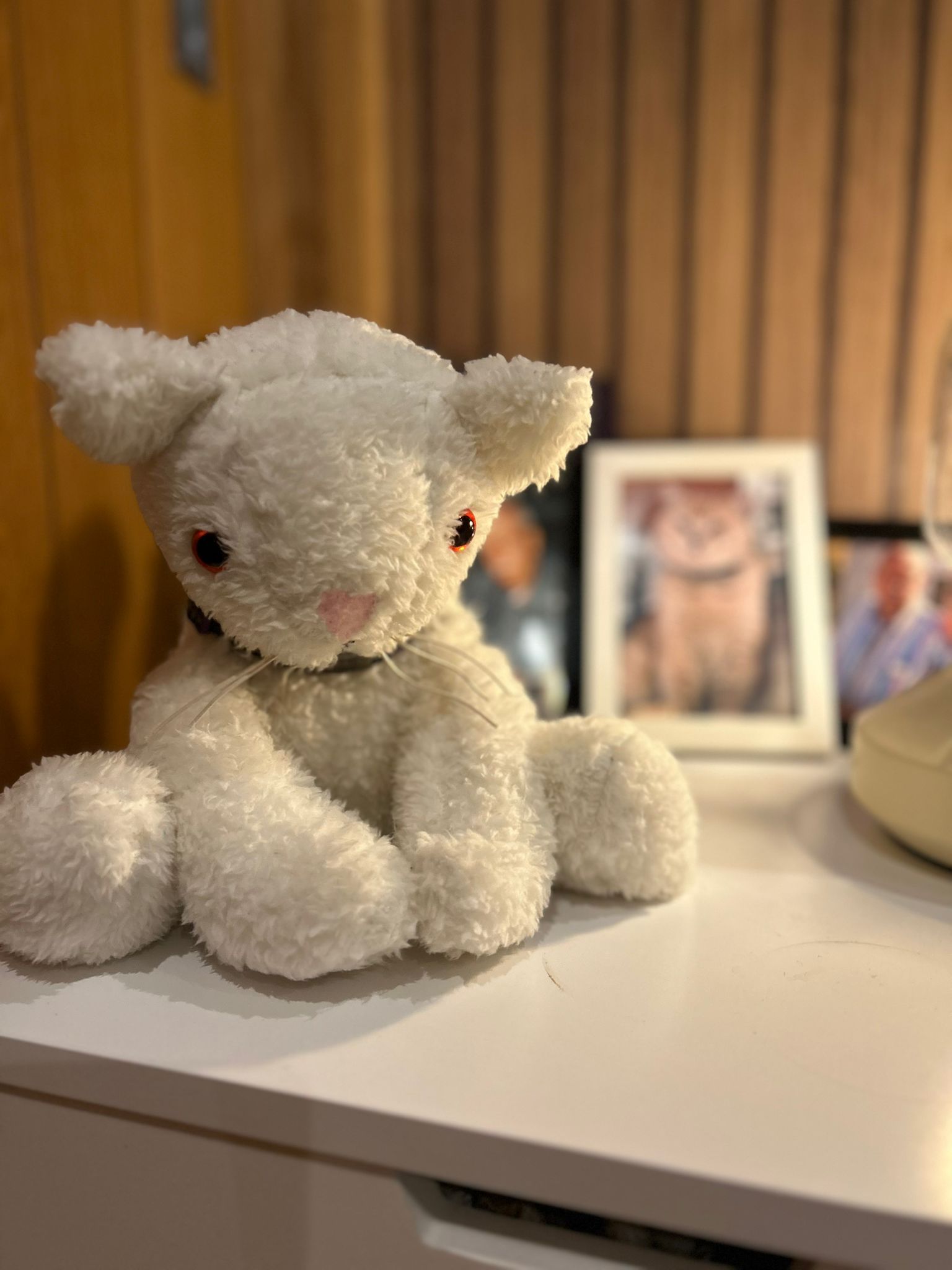 WhatsApp Image 2025-10-28 at 18.23.13